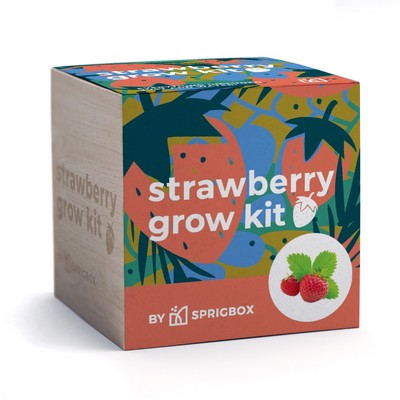Strawberry Grow Kit | Solid Wood Planter Cube | Eco-Friendly
