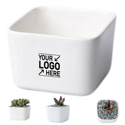 Minimalist Square Ceramic Succulent Pot